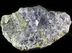 Blue-Purple Fluorite Crystals with Quartz - China #46163-1